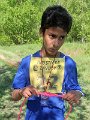 13 Uzly